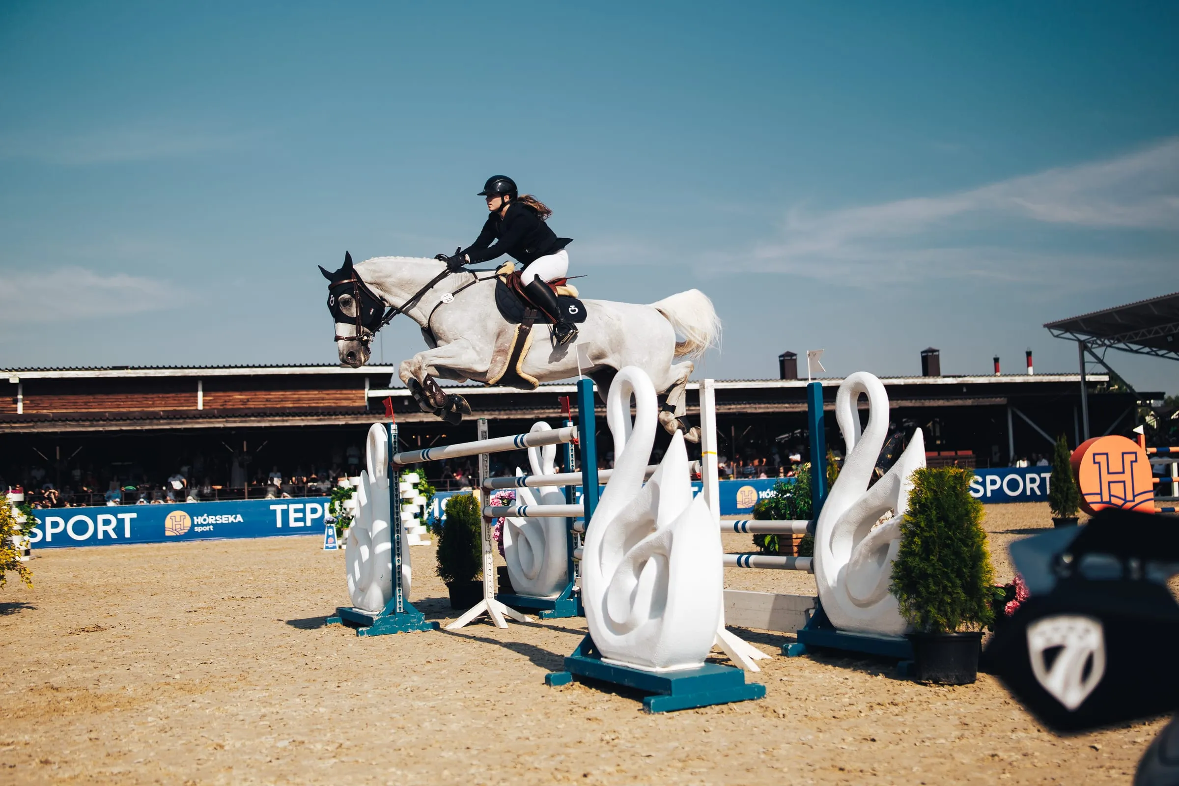 The show-jumping arena: a horse mid-jump, the prototype behind the obstacle
